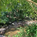 Casa Com Cachoeira No Quintal!!!